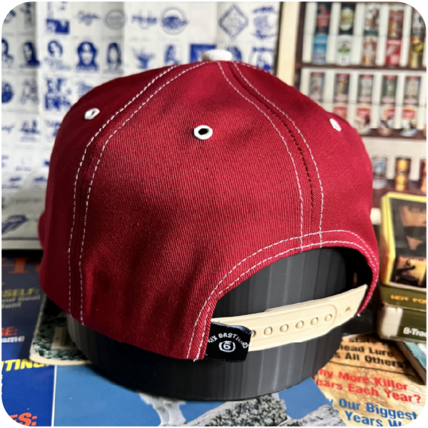 The "Wayne" Cap